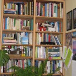 Blue Otter library