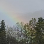Rainbow in the canyon.
