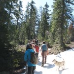 Students on a field trip.
