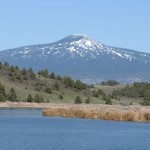 Goosenest Mountain